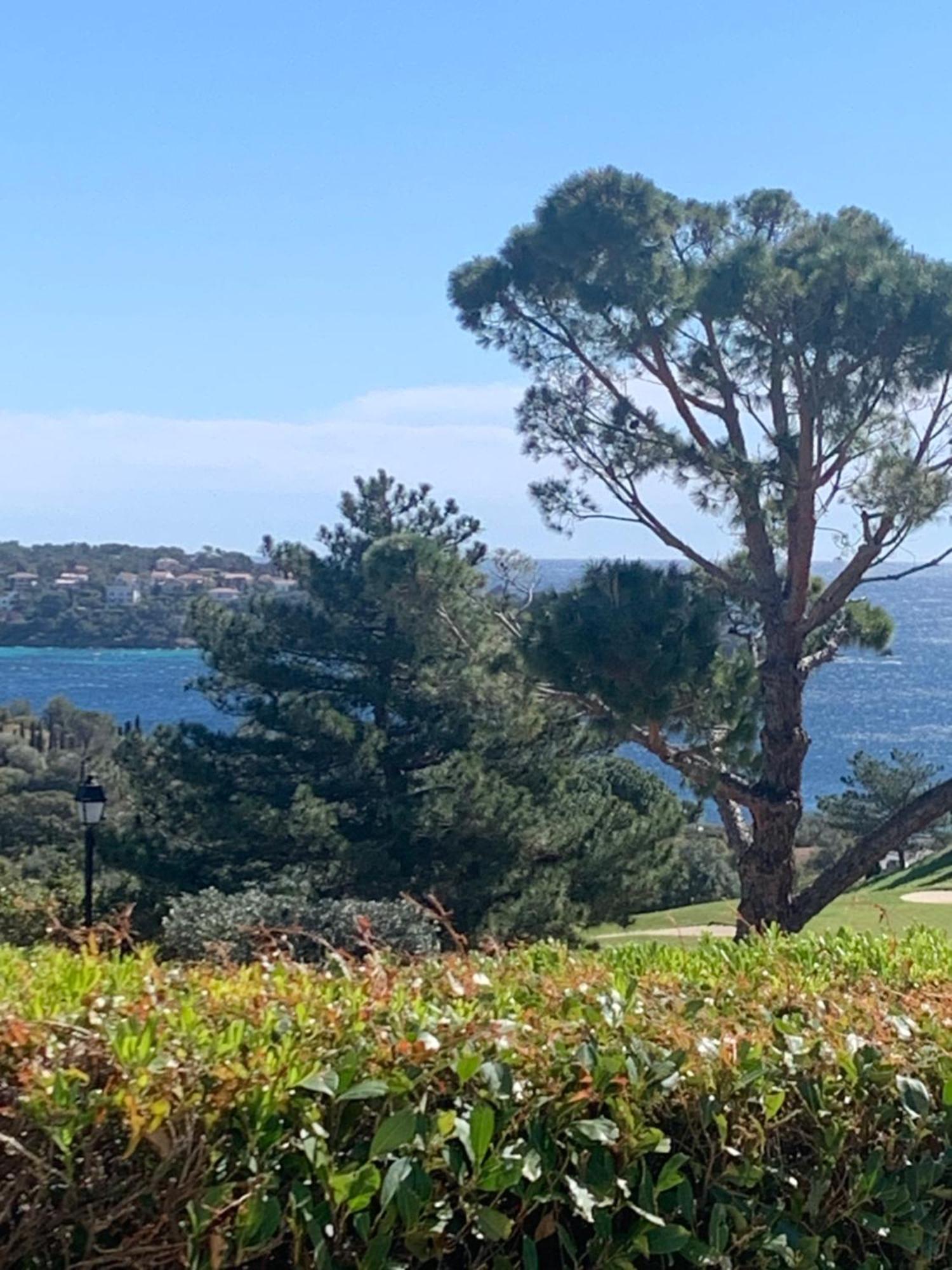 Saint-Raphaël T2 En Rez De Jardin Privatif Cloture , Cap Esterel Pierre Et Vacances ,Piscine Chauffee Des Le 05 Avril Au 02 Novembre מראה חיצוני תמונה
