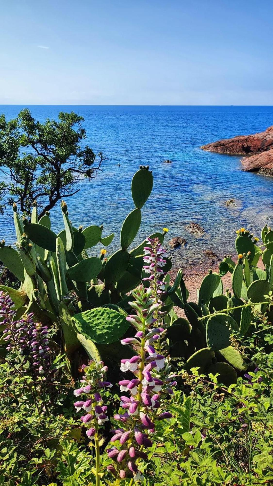 Saint-Raphaël T2 En Rez De Jardin Privatif Cloture , Cap Esterel Pierre Et Vacances ,Piscine Chauffee Des Le 05 Avril Au 02 Novembre מראה חיצוני תמונה
