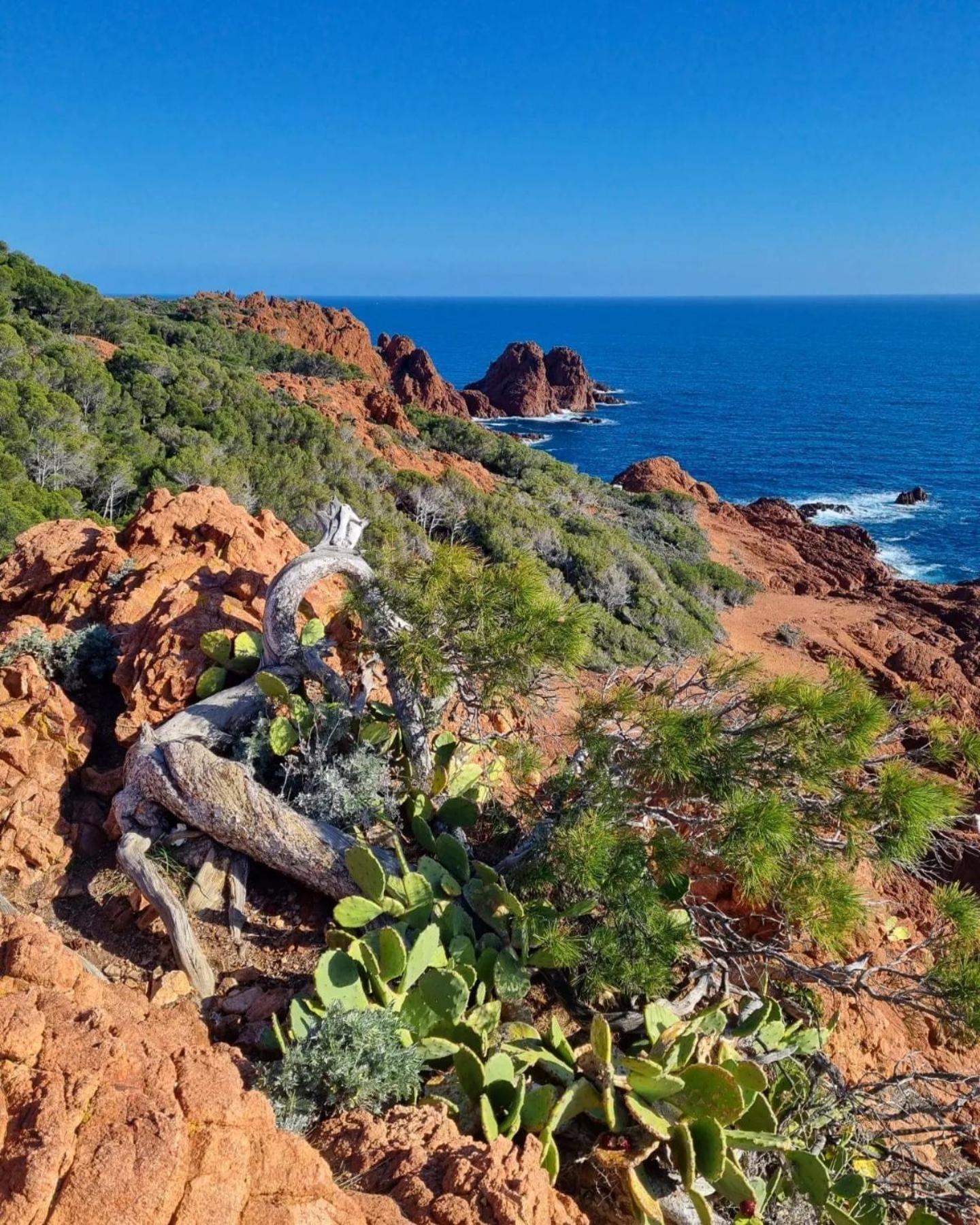 Saint-Raphaël T2 En Rez De Jardin Privatif Cloture , Cap Esterel Pierre Et Vacances ,Piscine Chauffee Des Le 05 Avril Au 02 Novembre מראה חיצוני תמונה
